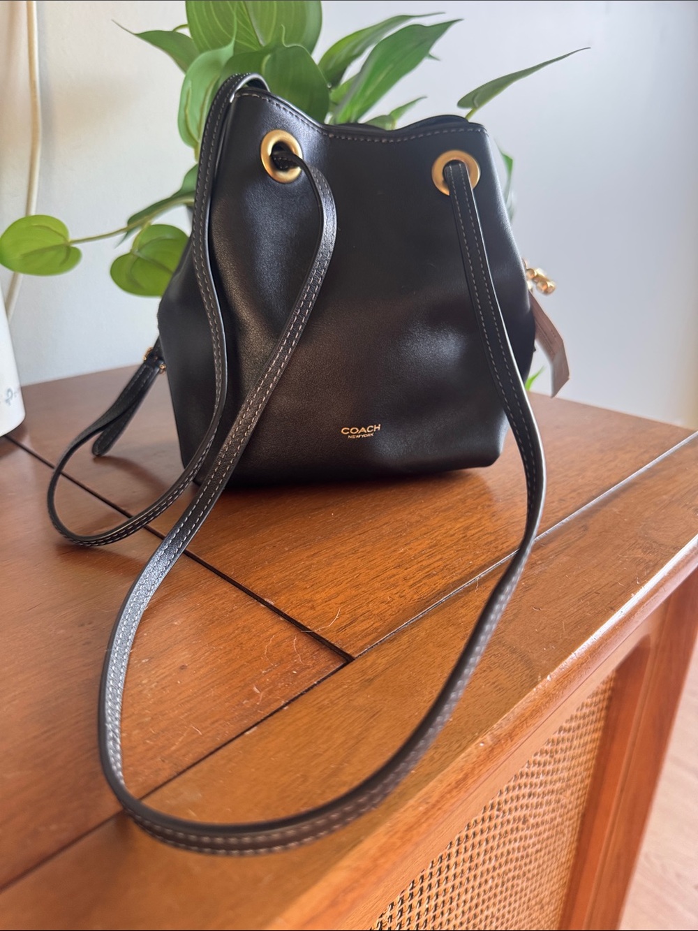 Coach Jade Black Leather Drawstring Mini Bucket Bag with Gold Accents